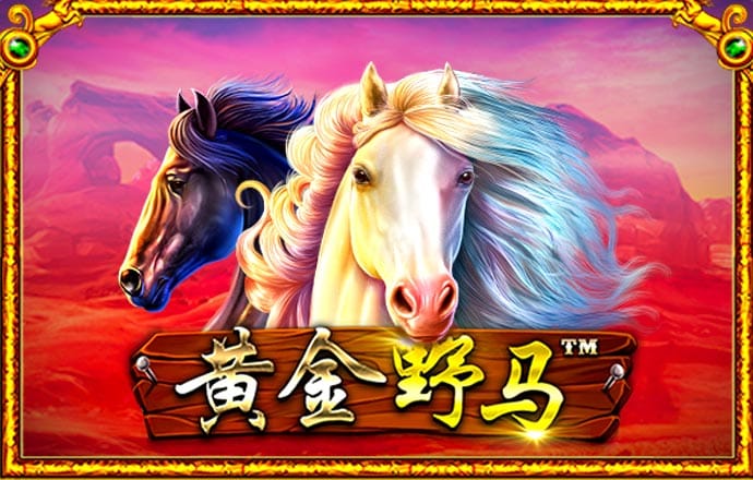 诺亚体育app